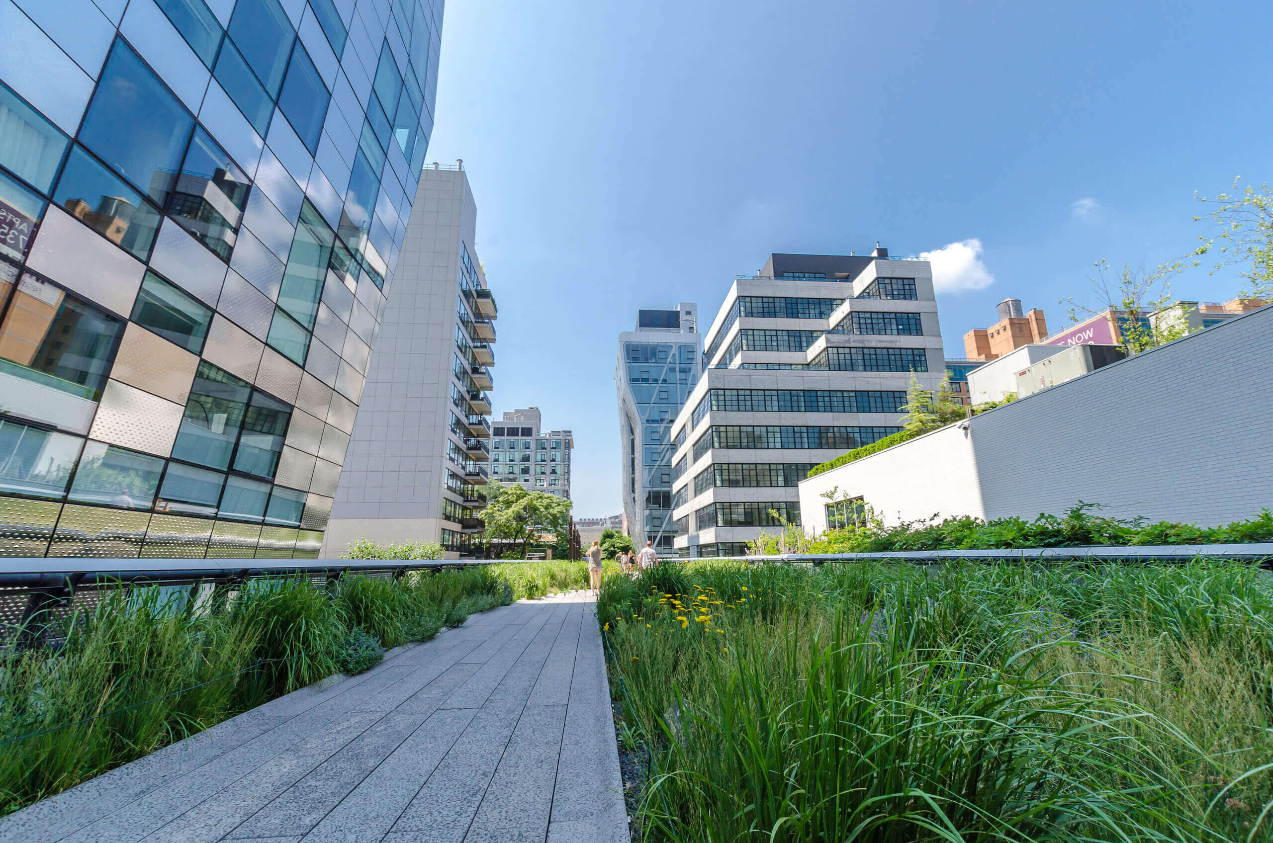 High Line Park in NYC